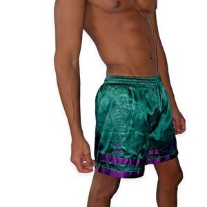 Xara 90s Rare Vintage Nylon Glanz Soccer Shorts Green Purple Silky Shiny